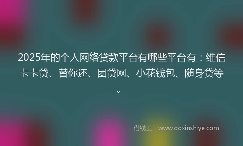 2025年的个人网络贷款平台有哪些平台有：维信卡卡贷、替你还、团贷网、小花钱包、随身贷等。