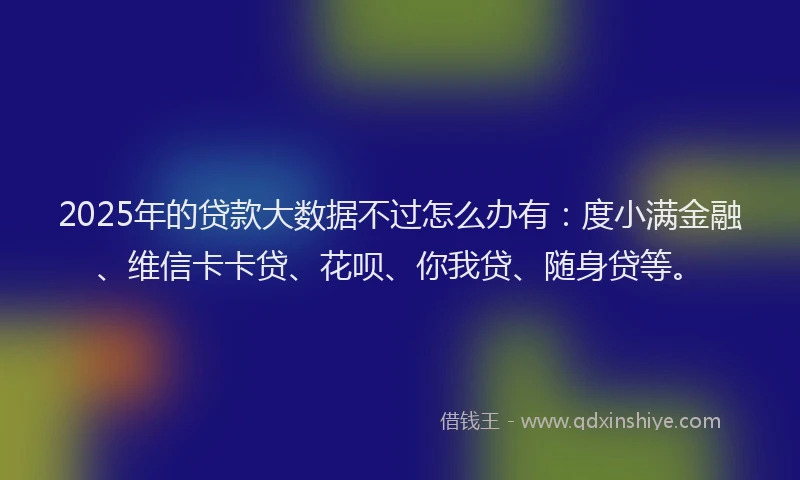 2025年的贷款大数据不过怎么办有：度小满金融、维信卡卡贷、花呗、你我贷、随身贷等。