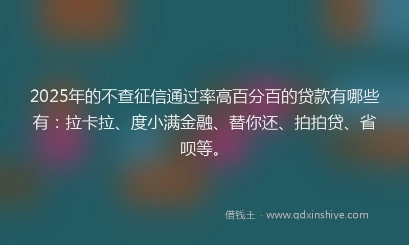 2025年的不查征信通过率高百分百的贷款有哪些有：拉卡拉、度小满金融、替你还、拍拍贷、省呗等。