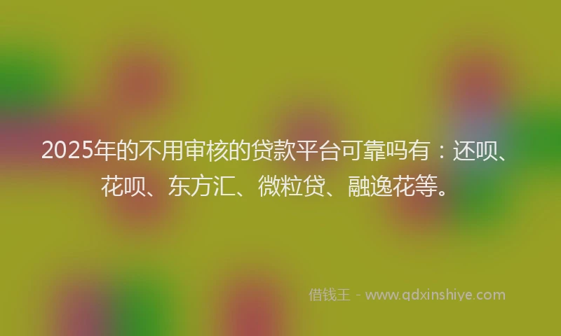 2025年的不用审核的贷款平台可靠吗有：还呗、花呗、东方汇、微粒贷、融逸花等。
