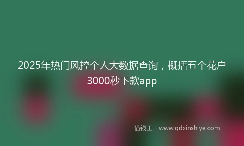 2025年热门风控个人大数据查询，概括五个花户3000秒下款app