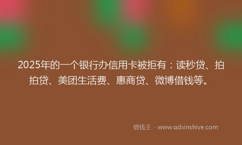2025年的一个银行办信用卡被拒有：读秒贷、拍拍贷、美团生活费、惠商贷、微博借钱等。