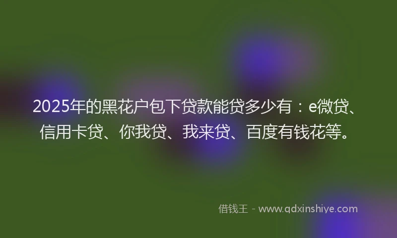 2025年的黑花户包下贷款能贷多少有：e微贷、信用卡贷、你我贷、我来贷、百度有钱花等。