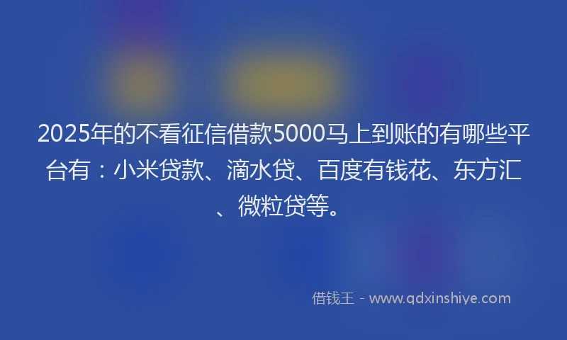 2025年的不看征信借款5000马上到账的有哪些平台有：小米贷款、滴水贷、百度有钱花、东方汇、微粒贷等。