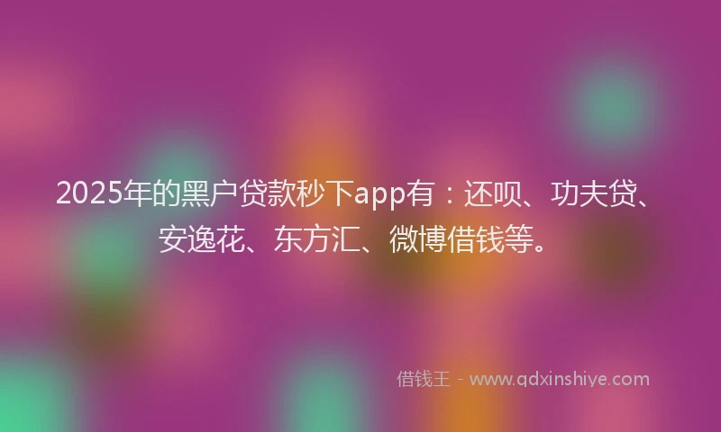 2025年的黑户贷款秒下app有：还呗、功夫贷、安逸花、东方汇、微博借钱等。