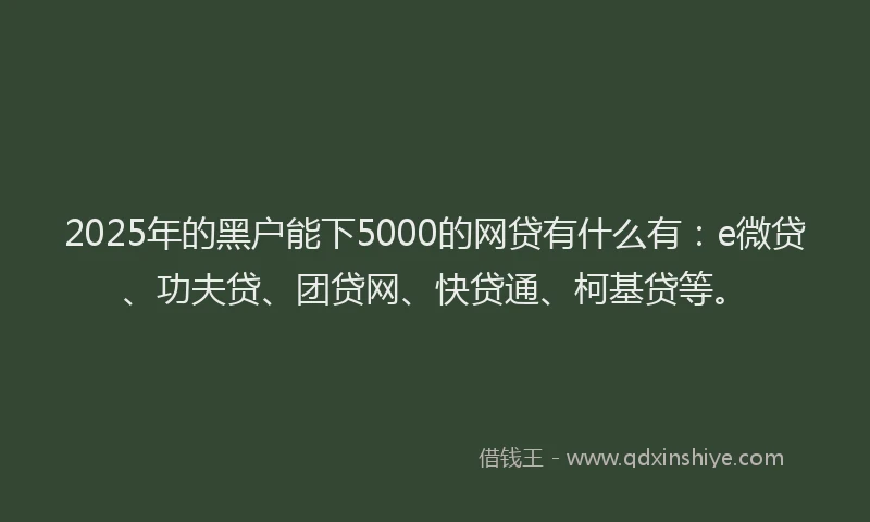 2025年的黑户能下5000的网贷有什么有：e微贷、功夫贷、团贷网、快贷通、柯基贷等。