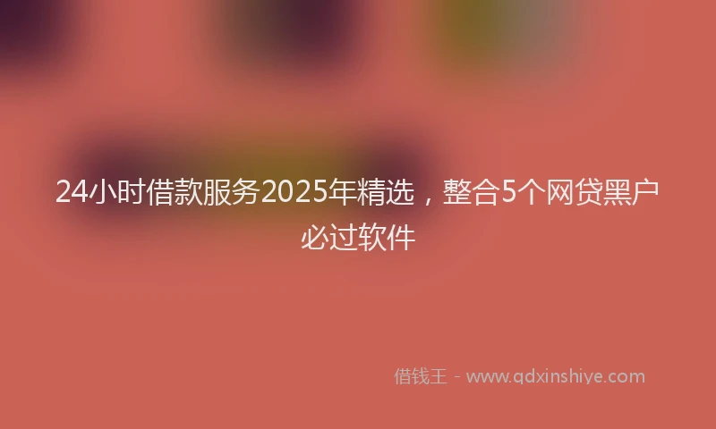 24小时借款服务2025年精选，整合5个网贷黑户必过软件