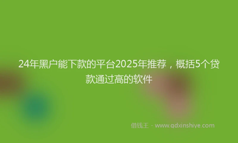 24年黑户能下款的平台2025年推荐，概括5个贷款通过高的软件