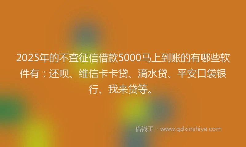 2025年的不查征信借款5000马上到账的有哪些软件有：还呗、维信卡卡贷、滴水贷、平安口袋银行、我来贷等。