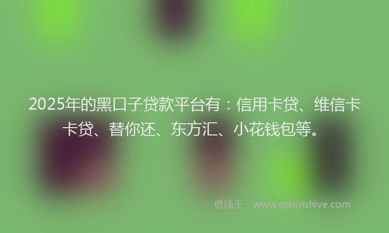 2025年的黑口子贷款平台有：信用卡贷、维信卡卡贷、替你还、东方汇、小花钱包等。