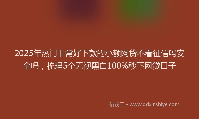 2025年热门非常好下款的小额网贷不看征信吗安全吗，梳理5个无视黑白100%秒下网贷口子