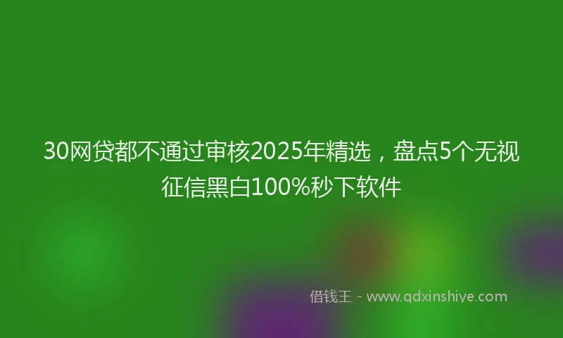 30网贷都不通过审核2025年精选，盘点5个无视征信黑白100%秒下软件