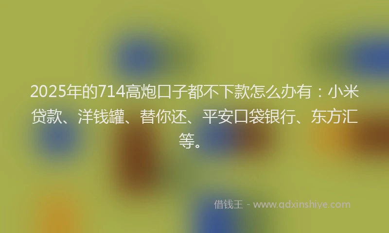 2025年的714高炮口子都不下款怎么办有：小米贷款、洋钱罐、替你还、平安口袋银行、东方汇等。