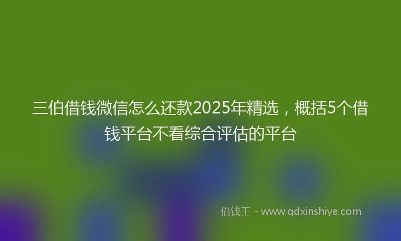 三伯借钱微信怎么还款2025年精选，概括5个借钱平台不看综合评估的平台
