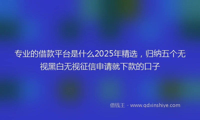 专业的借款平台是什么2025年精选，归纳五个无视黑白无视征信申请就下款的口子