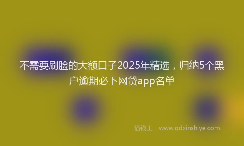 不需要刷脸的大额口子2025年精选，归纳5个黑户逾期必下网贷app名单
