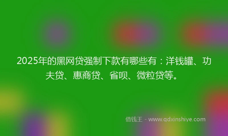 2025年的黑网贷强制下款有哪些有：洋钱罐、功夫贷、惠商贷、省呗、微粒贷等。