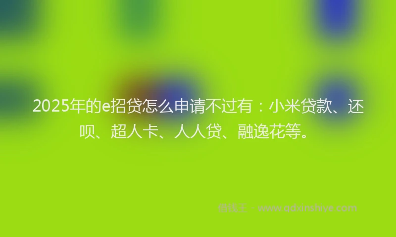2025年的e招贷怎么申请不过有：小米贷款、还呗、超人卡、人人贷、融逸花等。