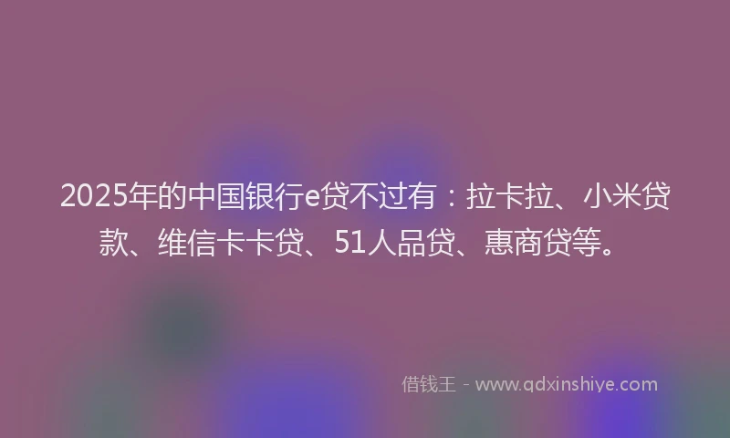 2025年的中国银行e贷不过有：拉卡拉、小米贷款、维信卡卡贷、51人品贷、惠商贷等。