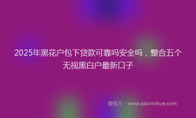 2025年黑花户包下贷款可靠吗安全吗，整合五个无视黑白户最新口子