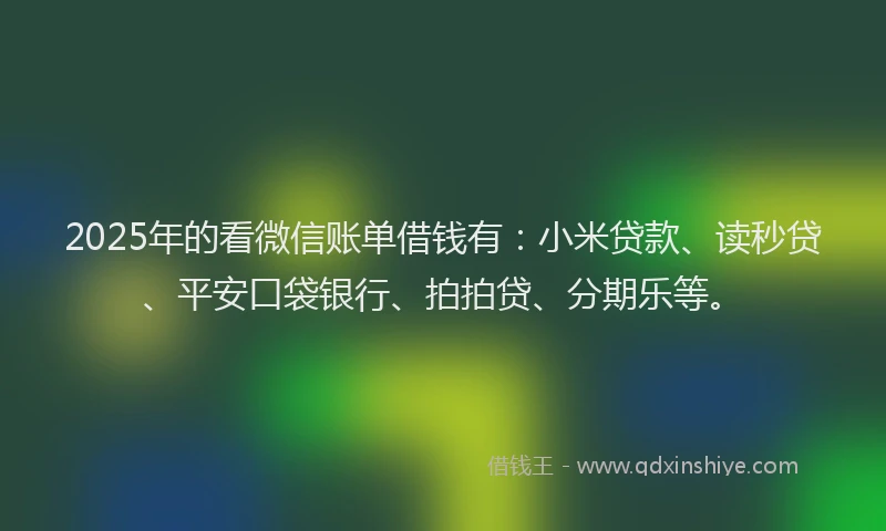 2025年的看微信账单借钱有：小米贷款、读秒贷、平安口袋银行、拍拍贷、分期乐等。