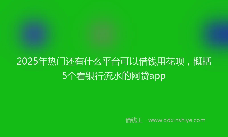 2025年热门还有什么平台可以借钱用花呗，概括5个看银行流水的网贷app