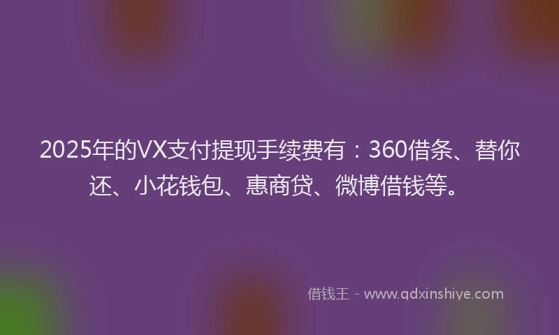 2025年的VX支付提现手续费有：360借条、替你还、小花钱包、惠商贷、微博借钱等。