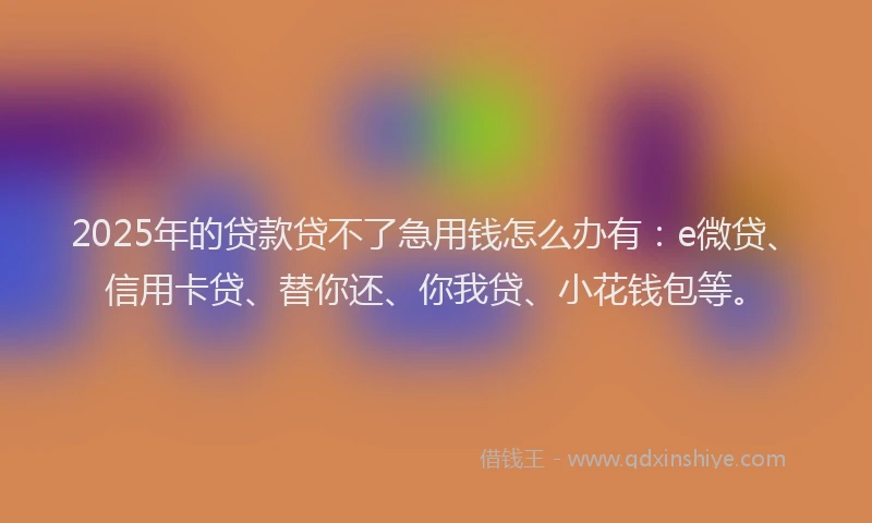 2025年的贷款贷不了急用钱怎么办有：e微贷、信用卡贷、替你还、你我贷、小花钱包等。