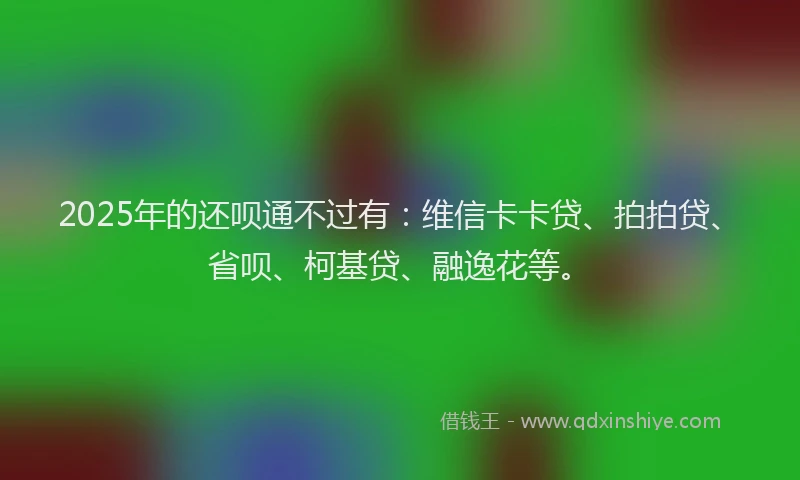 2025年的还呗通不过有：维信卡卡贷、拍拍贷、省呗、柯基贷、融逸花等。