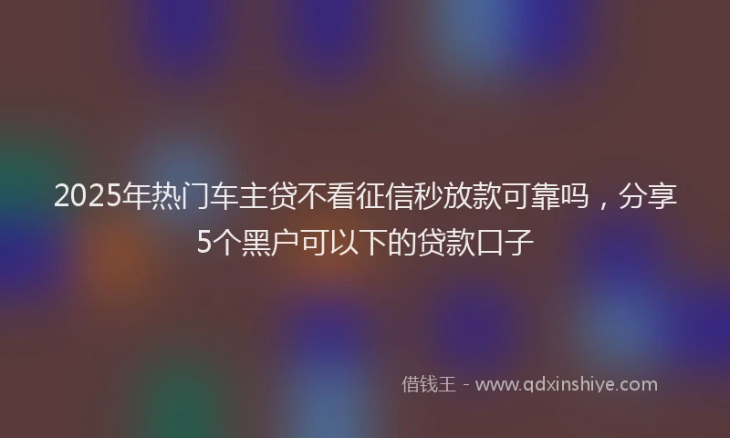 2025年热门车主贷不看征信秒放款可靠吗，分享5个黑户可以下的贷款口子