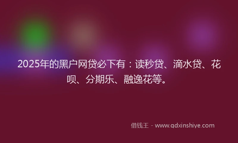 2025年的黑户网贷必下有：读秒贷、滴水贷、花呗、分期乐、融逸花等。