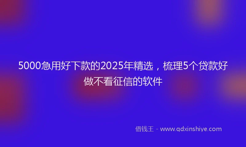 5000急用好下款的2025年精选，梳理5个贷款好做不看征信的软件