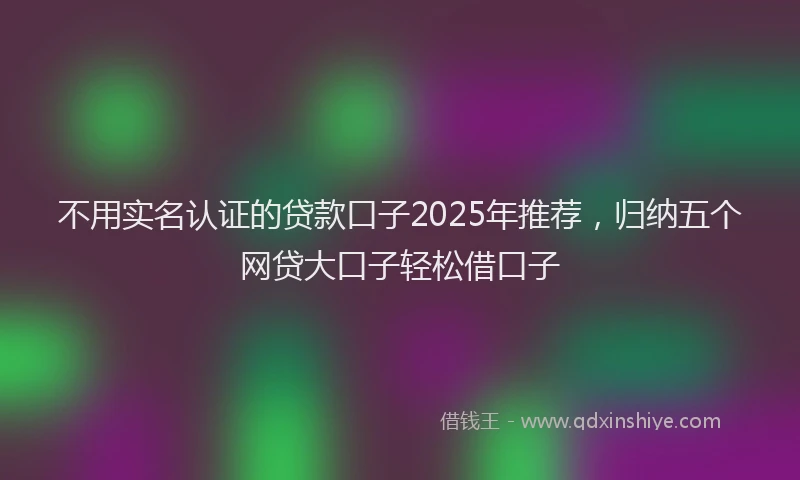 不用实名认证的贷款口子2025年推荐，归纳五个网贷大口子轻松借口子