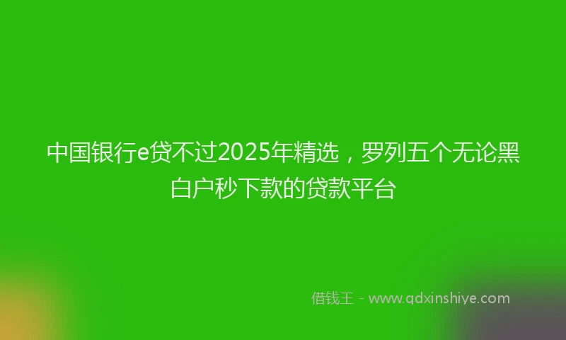 中国银行e贷不过2025年精选，罗列五个无论黑白户秒下款的贷款平台