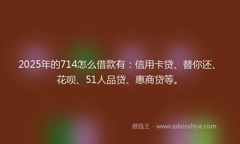 2025年的714怎么借款有：信用卡贷、替你还、花呗、51人品贷、惠商贷等。