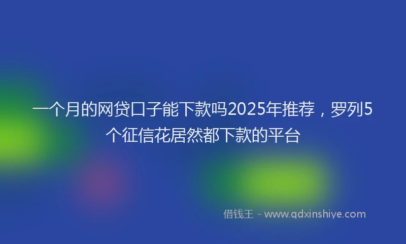 一个月的网贷口子能下款吗2025年推荐，罗列5个征信花居然都下款的平台
