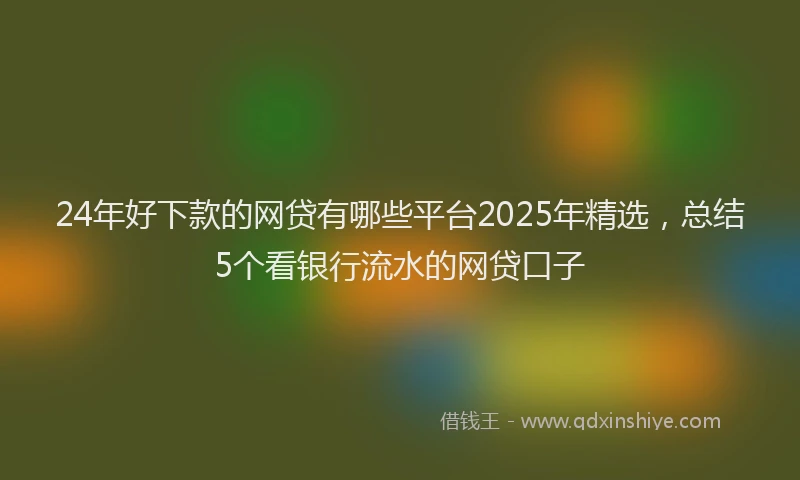24年好下款的网贷有哪些平台2025年精选，总结5个看银行流水的网贷口子