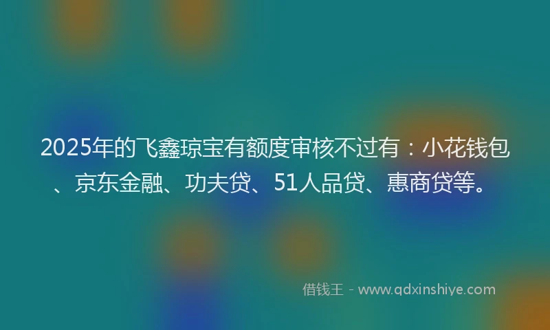 2025年的飞鑫琼宝有额度审核不过有：小花钱包、京东金融、功夫贷、51人品贷、惠商贷等。