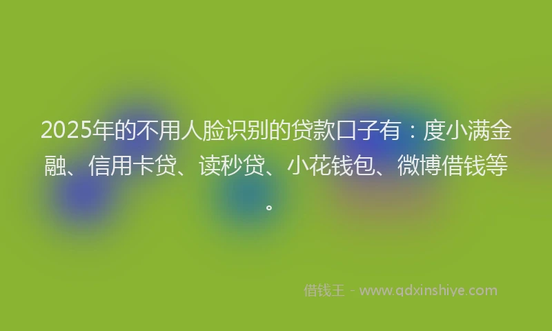 2025年的不用人脸识别的贷款口子有：度小满金融、信用卡贷、读秒贷、小花钱包、微博借钱等。