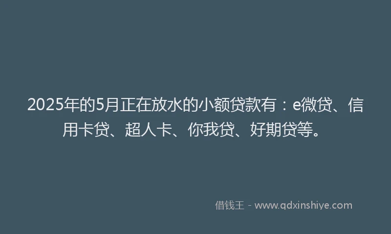 2025年的5月正在放水的小额贷款有：e微贷、信用卡贷、超人卡、你我贷、好期贷等。