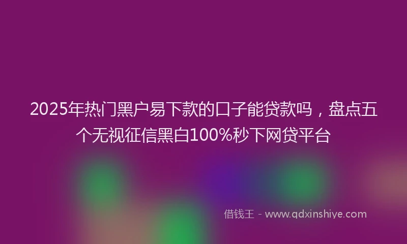 2025年热门黑户易下款的口子能贷款吗，盘点五个无视征信黑白100%秒下网贷平台