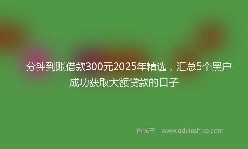 一分钟到账借款300元2025年精选，汇总5个黑户成功获取大额贷款的口子