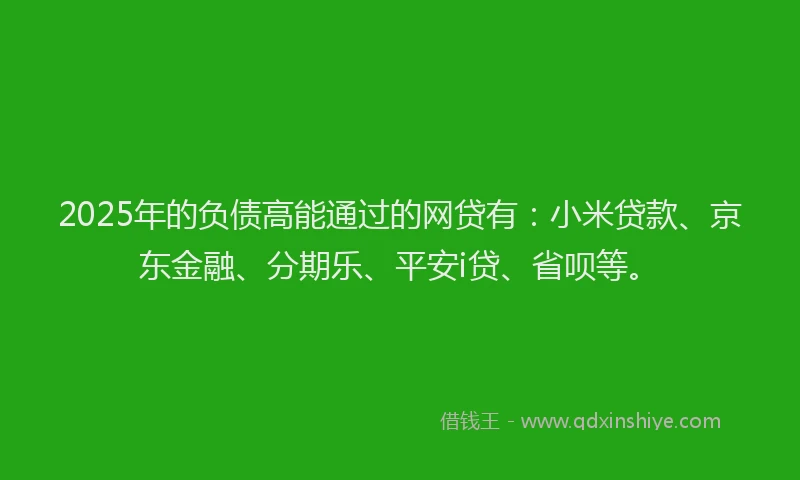 2025年的负债高能通过的网贷有：小米贷款、京东金融、分期乐、平安i贷、省呗等。