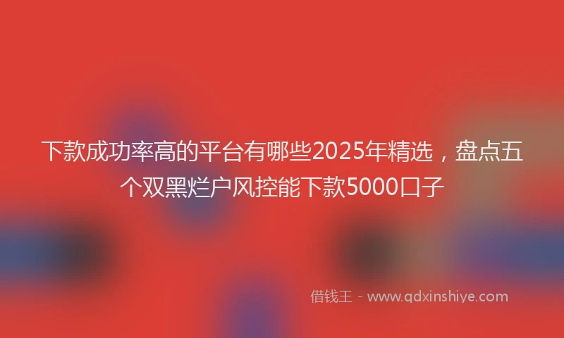 下款成功率高的平台有哪些2025年精选，盘点五个双黑烂户风控能下款5000口子