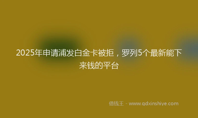 2025年申请浦发白金卡被拒，罗列5个最新能下来钱的平台