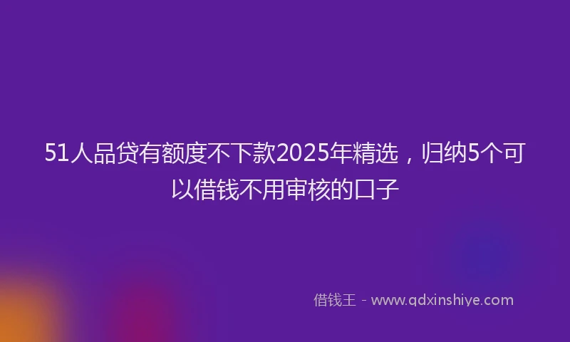 51人品贷有额度不下款2025年精选，归纳5个可以借钱不用审核的口子