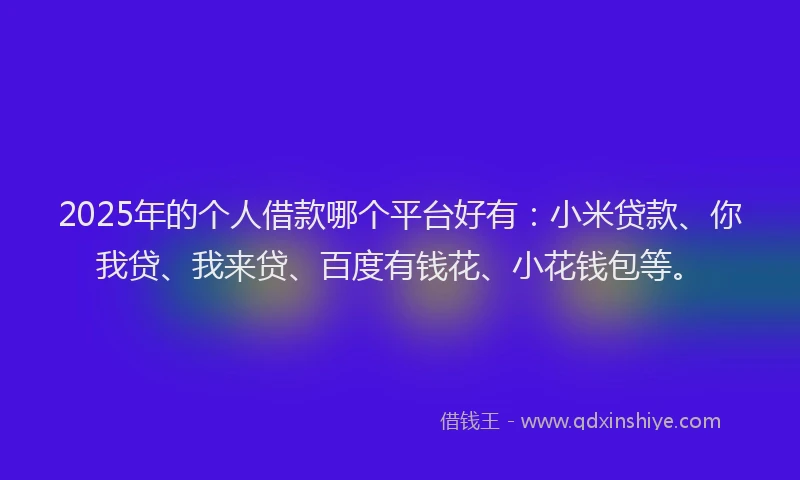 2025年的个人借款哪个平台好有：小米贷款、你我贷、我来贷、百度有钱花、小花钱包等。