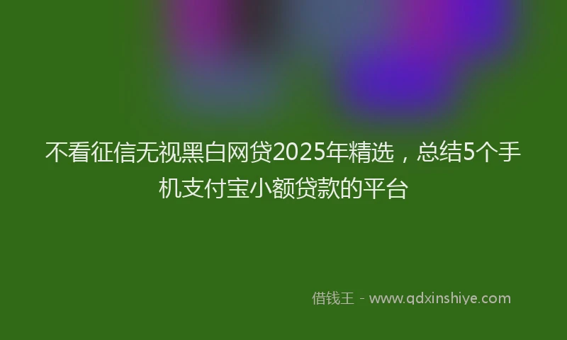 不看征信无视黑白网贷2025年精选，总结5个手机支付宝小额贷款的平台