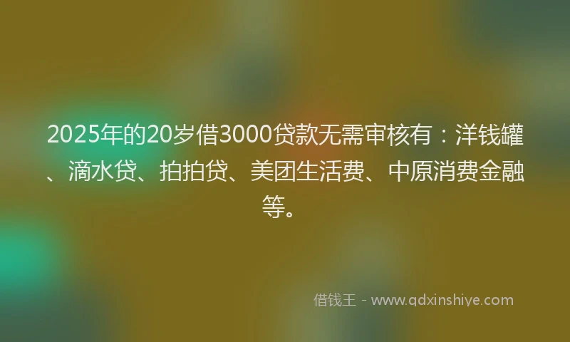2025年的20岁借3000贷款无需审核有：洋钱罐、滴水贷、拍拍贷、美团生活费、中原消费金融等。