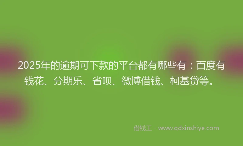 2025年的逾期可下款的平台都有哪些有：百度有钱花、分期乐、省呗、微博借钱、柯基贷等。